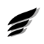 Team Radeon logo